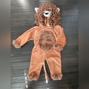Brown Lion Kids Costume